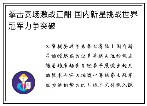 拳击赛场激战正酣 国内新星挑战世界冠军力争突破