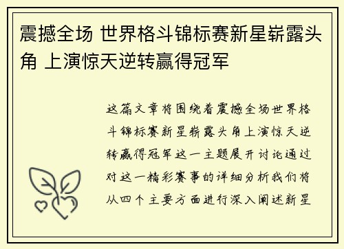震撼全场 世界格斗锦标赛新星崭露头角 上演惊天逆转赢得冠军