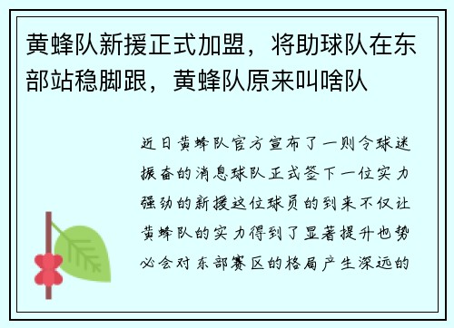 黄蜂队新援正式加盟，将助球队在东部站稳脚跟，黄蜂队原来叫啥队